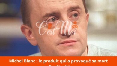 Michel Blanc : le produit qui a provoqué sa mort enfin dévoilé…